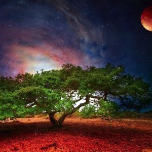 Meet your Posher, Mersad